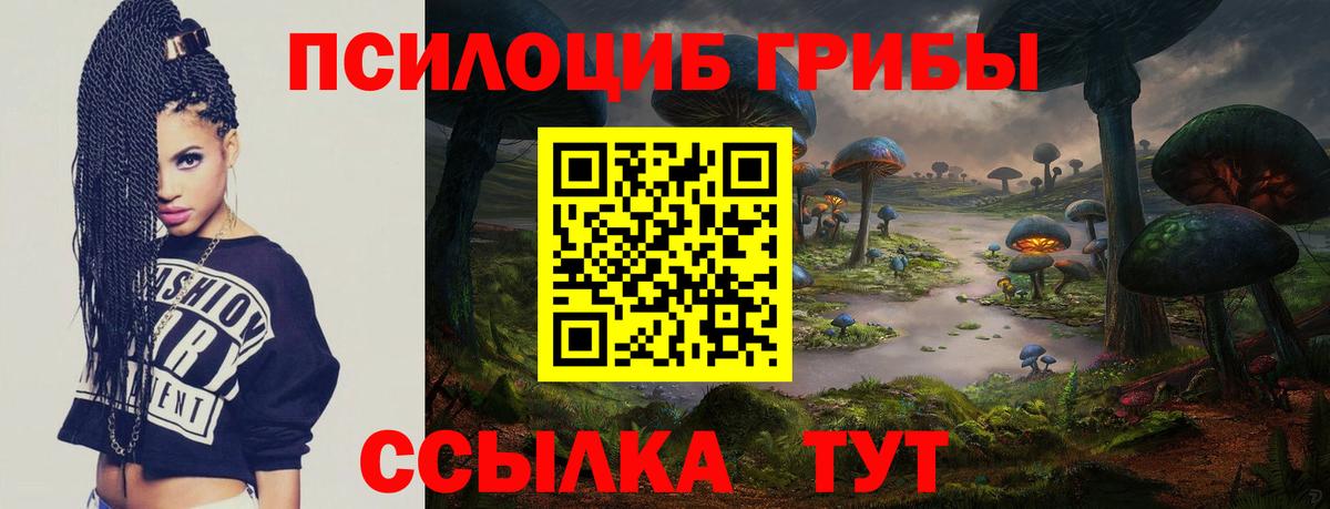 Псилоцибиновые грибы GOLDEN TEACHER Сокол