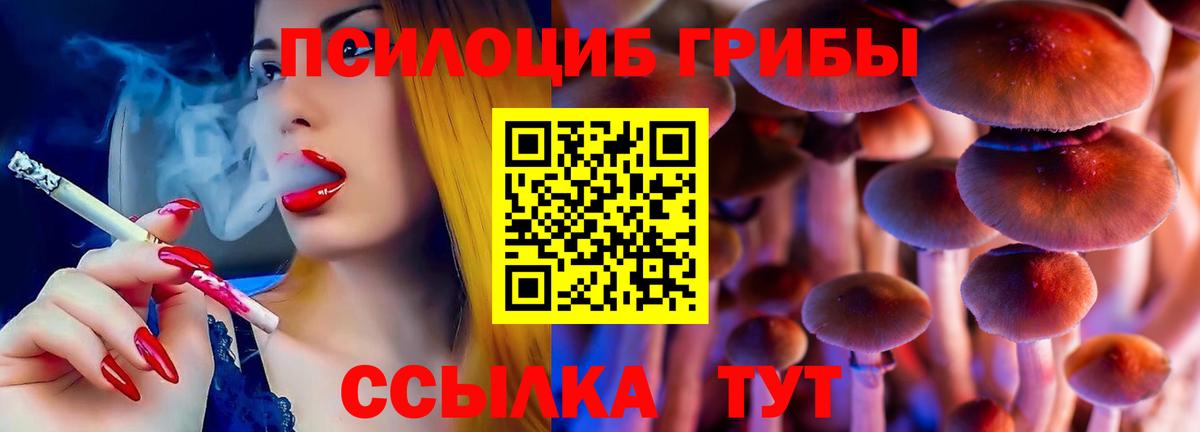 сколько стоит  Галлюциногенные грибы ЛСД  Галлюциногенные грибы Cubensis  Вход с VPN  Сокол 